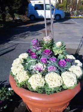 忙しい忙しい。｜「豊里ガーデン」　（宮城県登米市の花キューピット加盟店 花屋）のブログ